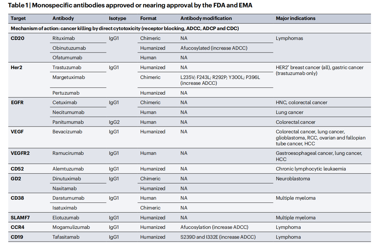 Cancer therapy with antibodies