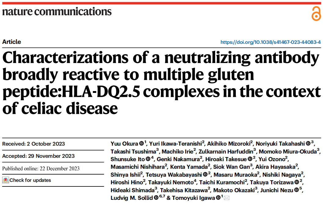 Characterization of neutralizing antibodies of broad spectrum glutenopeptide HLA-DQ2.5 complex