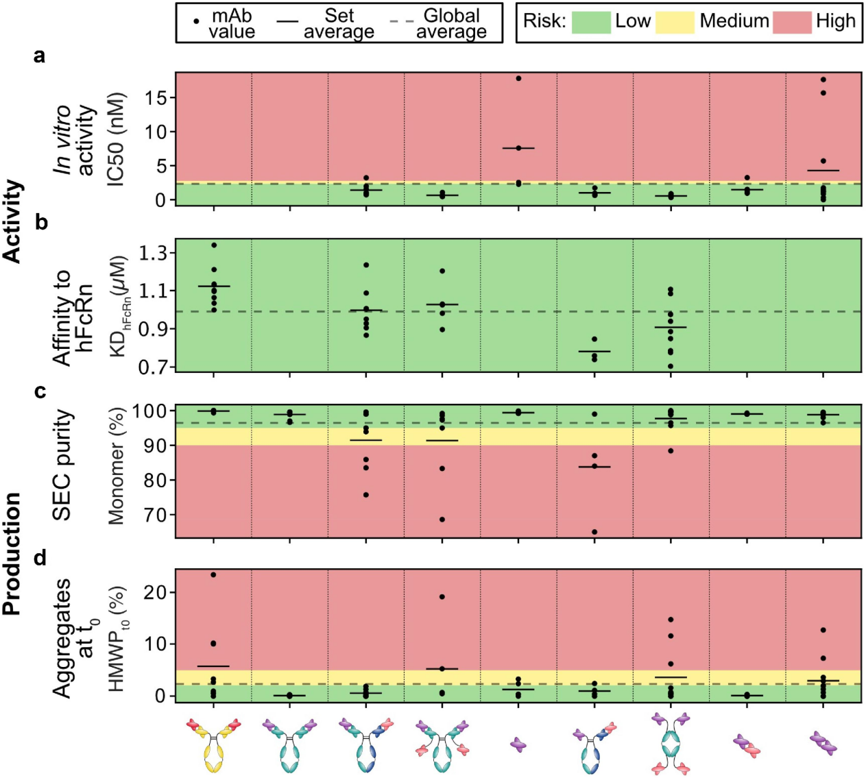 Comparative study of the exploitability of full-length antibody, fragment, and bispecific formats