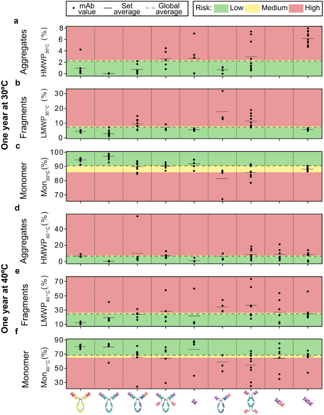 Comparative study of the exploitability of full-length antibody, fragment, and bispecific formats