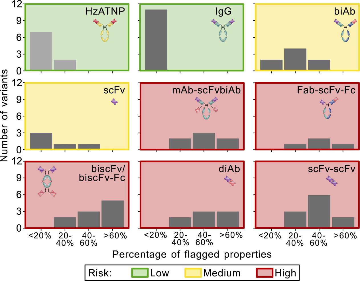 Comparative study of the exploitability of full-length antibody, fragment, and bispecific formats