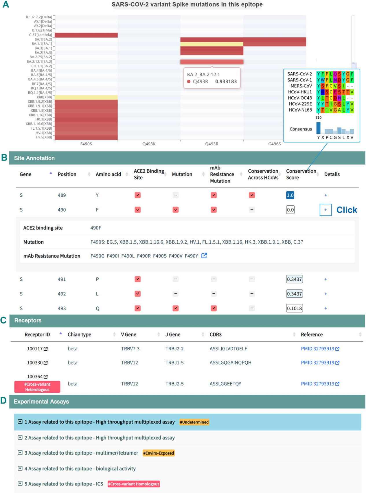 CovEpiAb: a comprehensive database and analysis resource for immune epitopes and antibodies of human coronaviruses
