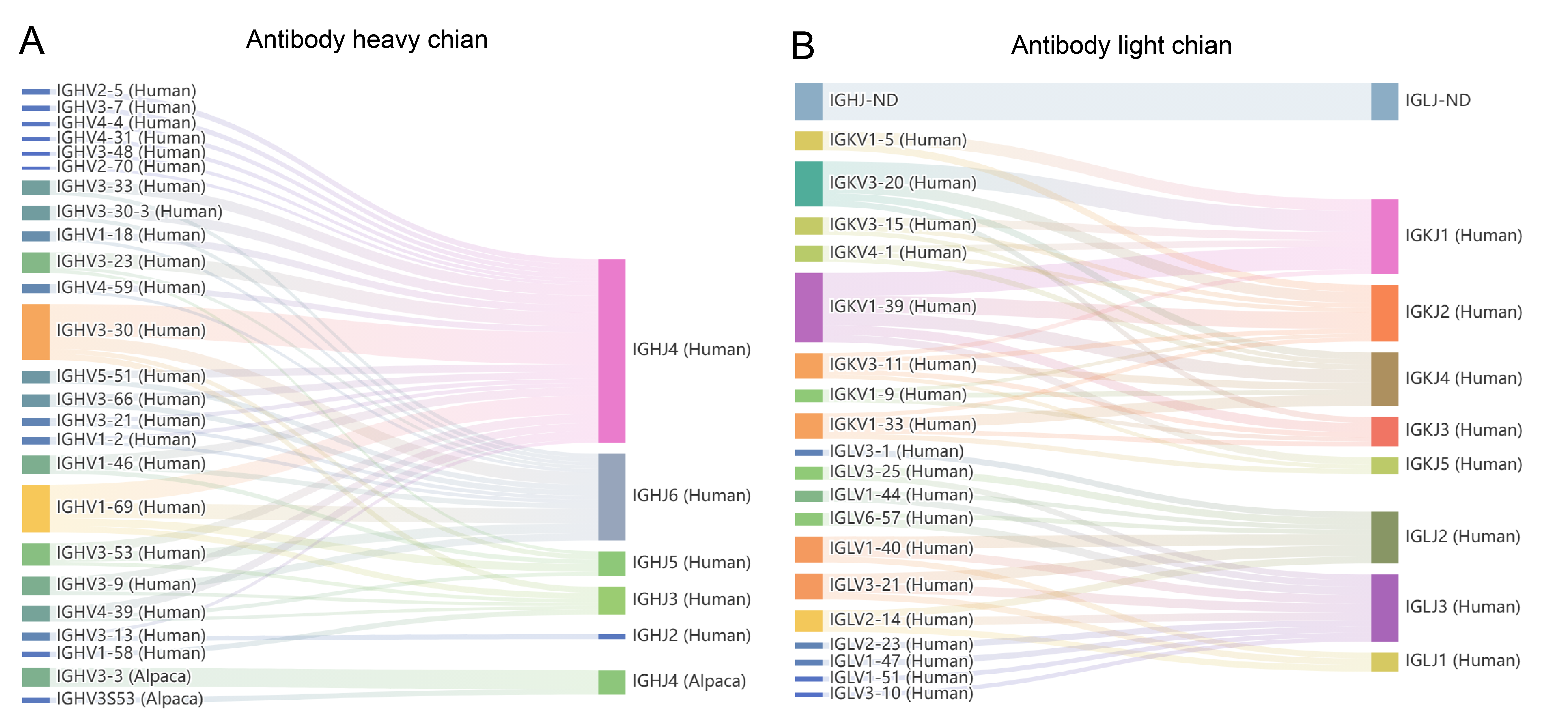 CovEpiAb: a comprehensive database and analysis resource for immune epitopes and antibodies of human coronaviruses