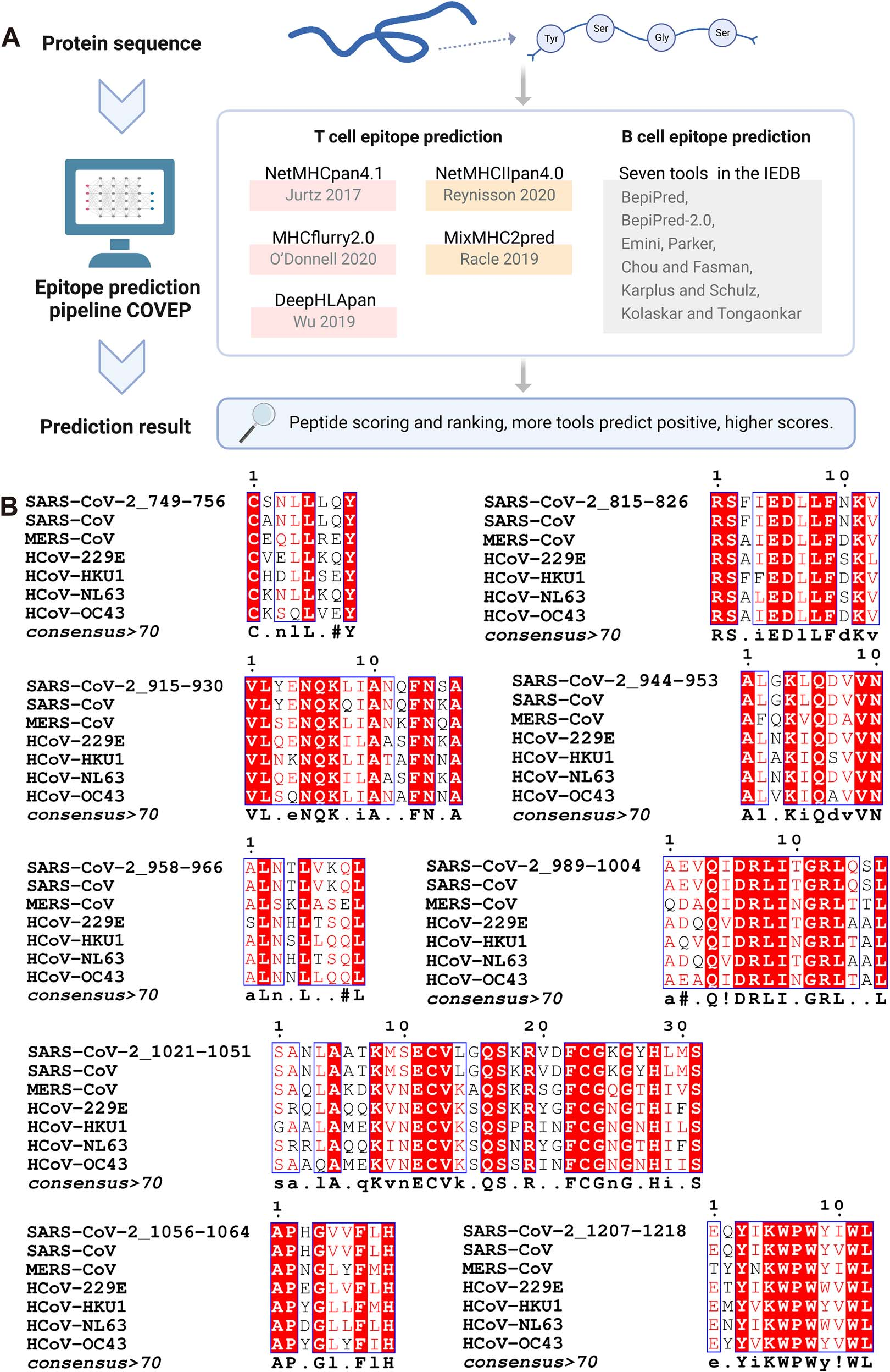 CovEpiAb: a comprehensive database and analysis resource for immune epitopes and antibodies of human coronaviruses