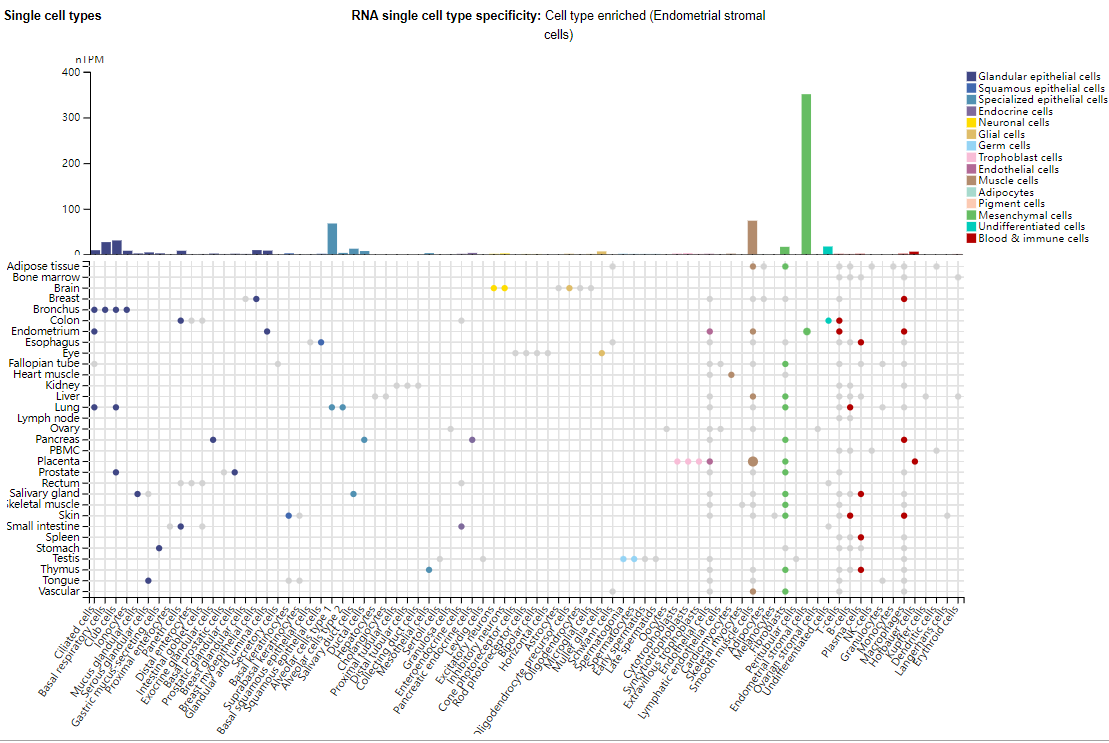 DKK1 is the core accomplicker of tumor immune escape