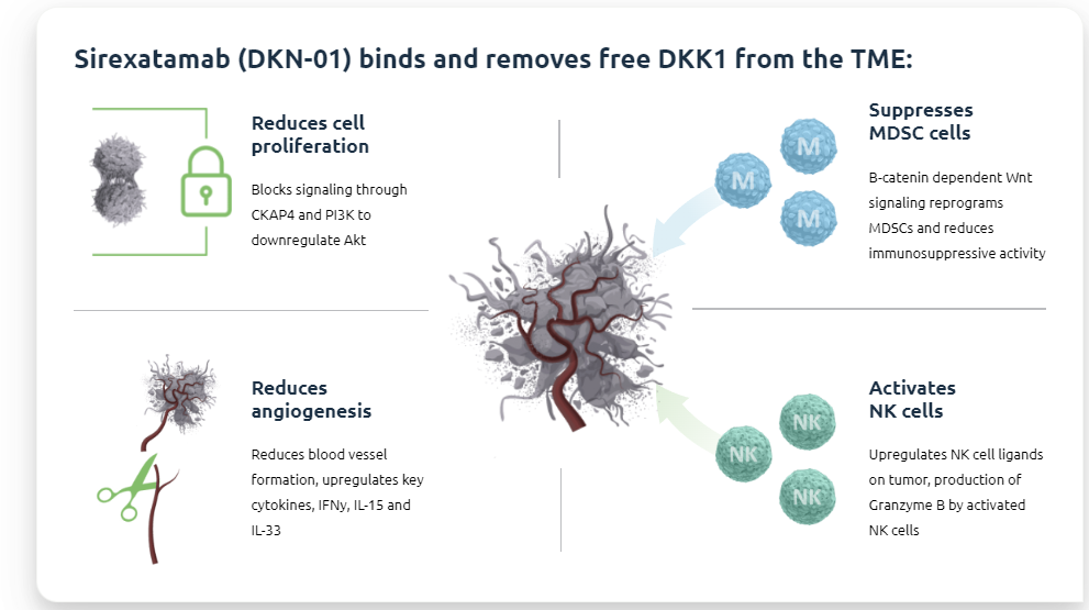 DKK1 is the core accomplicker of tumor immune escape