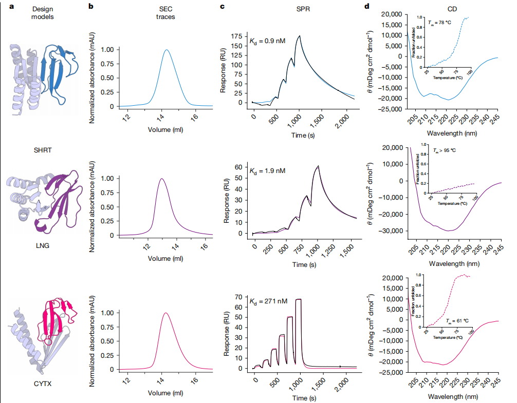 De novo designed proteins neutralize lethal snake venom toxins