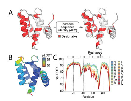 Deep learning guided design of dynamic proteins