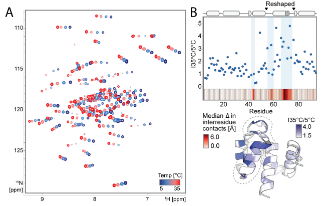 Deep learning guided design of dynamic proteins