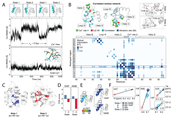Deep learning guided design of dynamic proteins