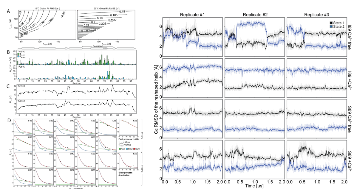 Deep learning guided design of dynamic proteins