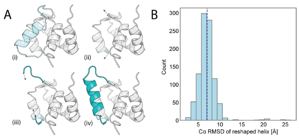 Deep learning guided design of dynamic proteins