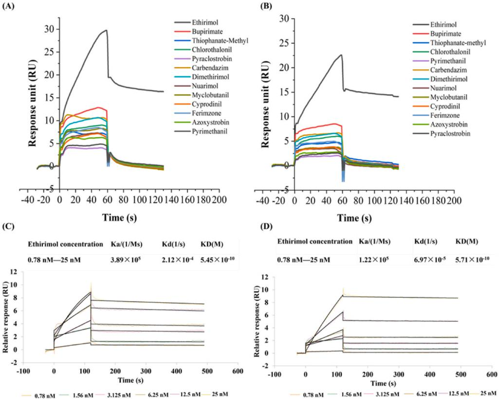 Detection of small molecule ethylpyrimol residues in agricultural products and environment