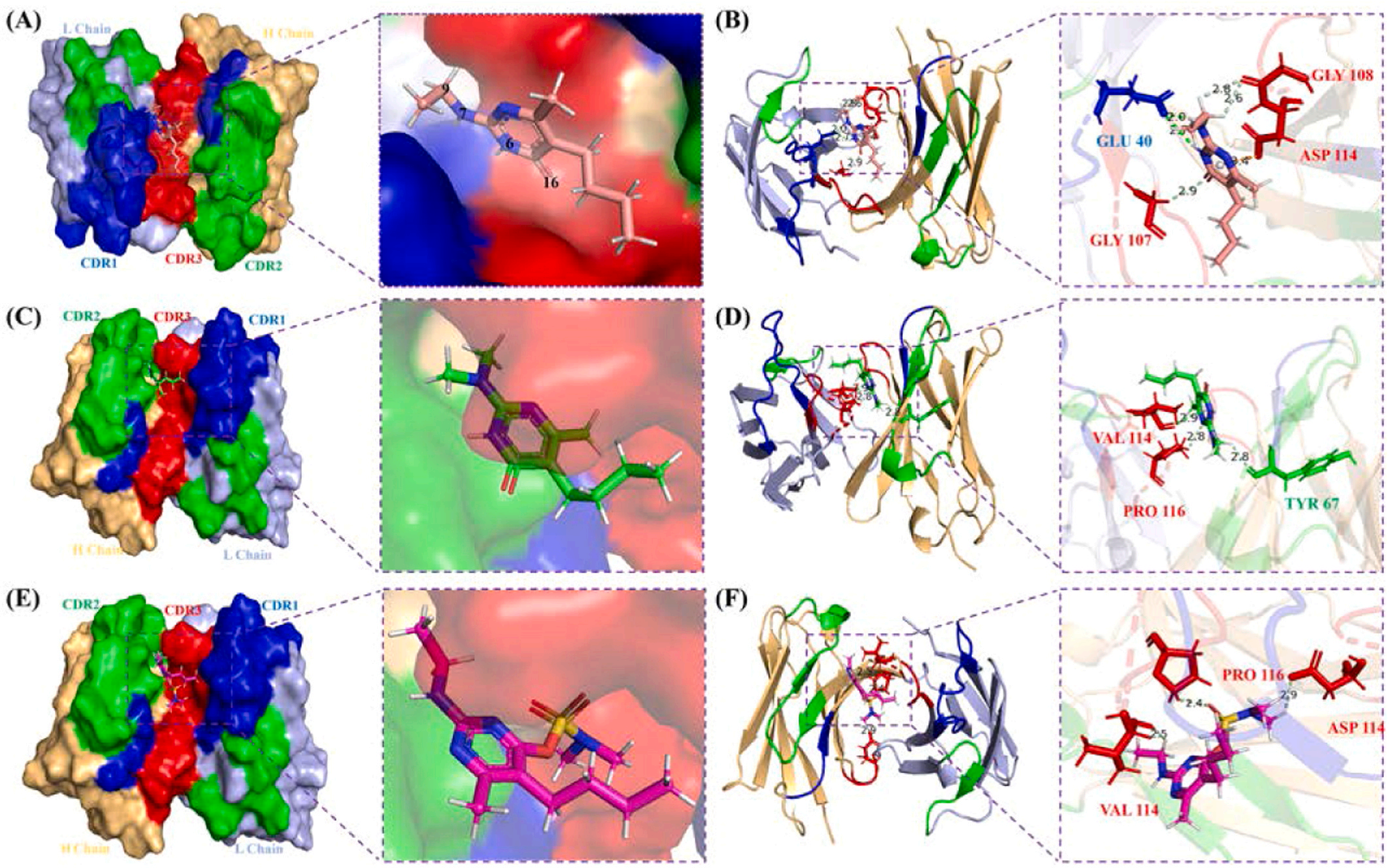 Detection of small molecule ethylpyrimol residues in agricultural products and environment