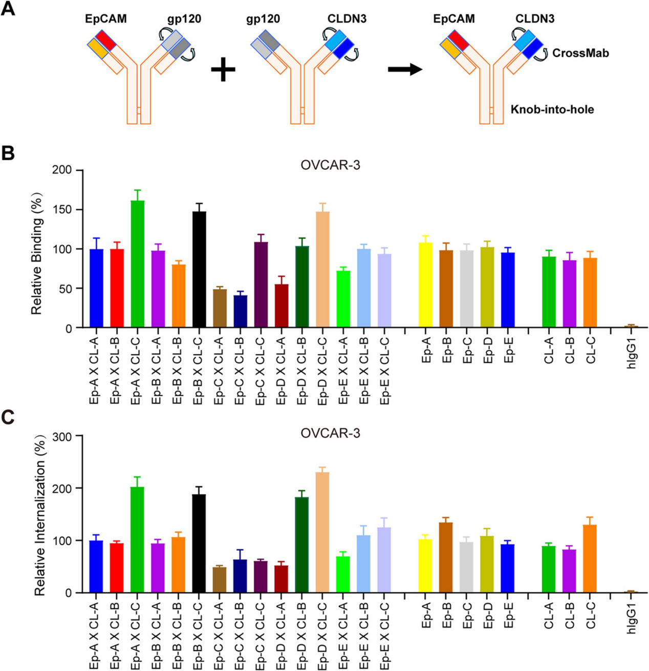 Development of bispecific antibody-drug conjugates targeting EpCAM and CLDN3