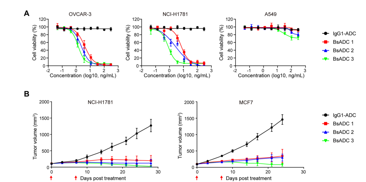 Development of bispecific antibody-drug conjugates targeting EpCAM and CLDN3