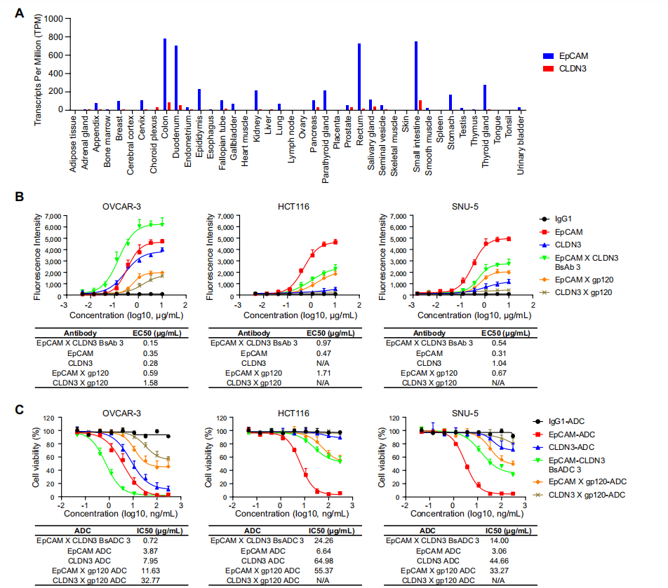 Development of bispecific antibody-drug conjugates targeting EpCAM and CLDN3