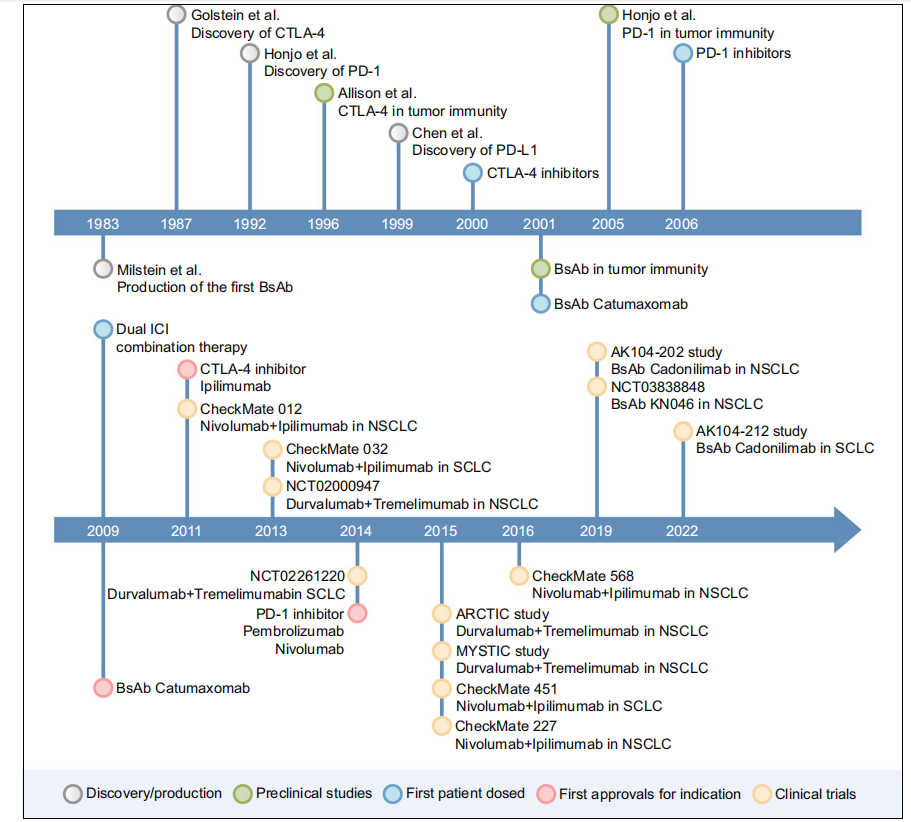Dual blockade immunotherapy targeting PD-1/PD-L1 and CTLA-4 in lung cancer