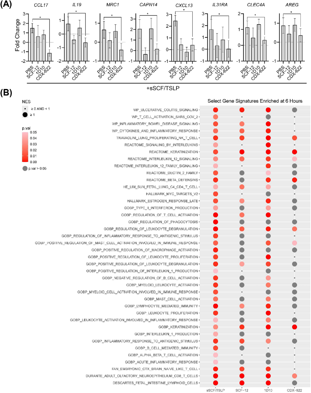 Dual inhibition of a novel bispecific antibody CDX-622