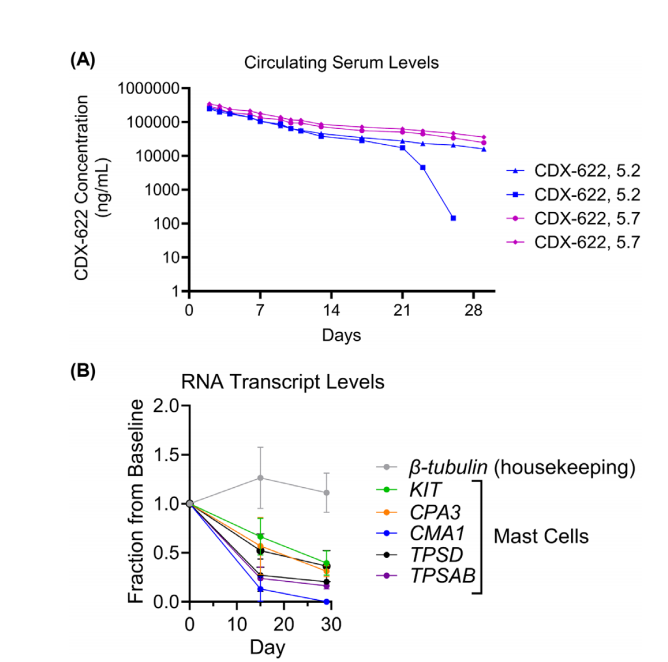 Dual inhibition of a novel bispecific antibody CDX-622