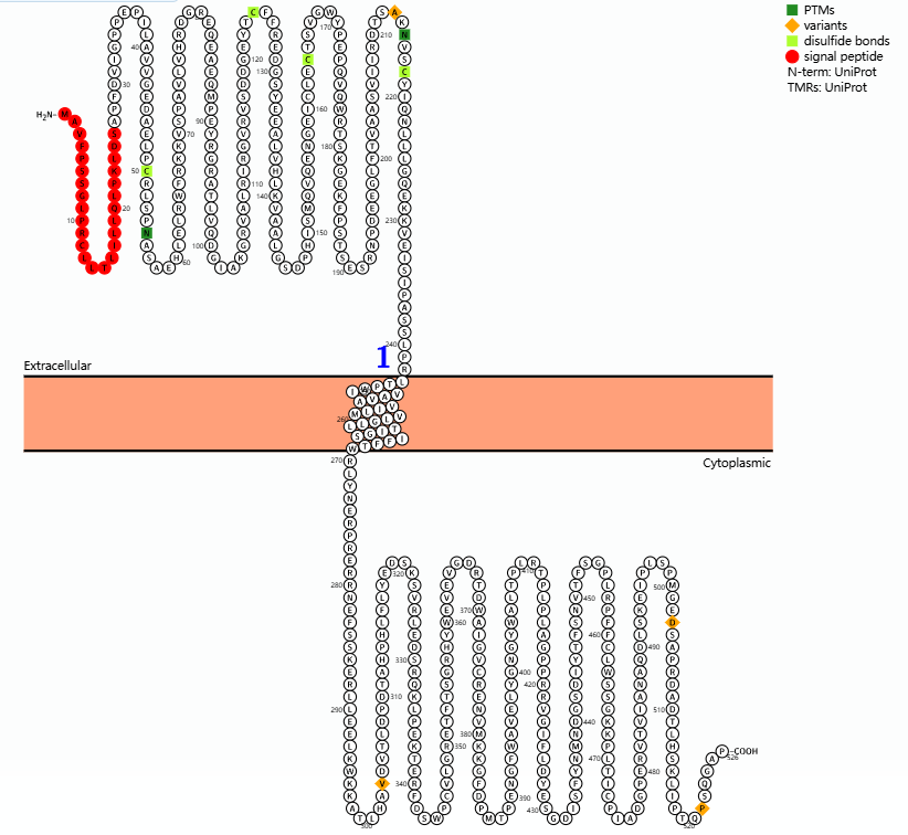 Emerging immune regulatory target BTN1A1