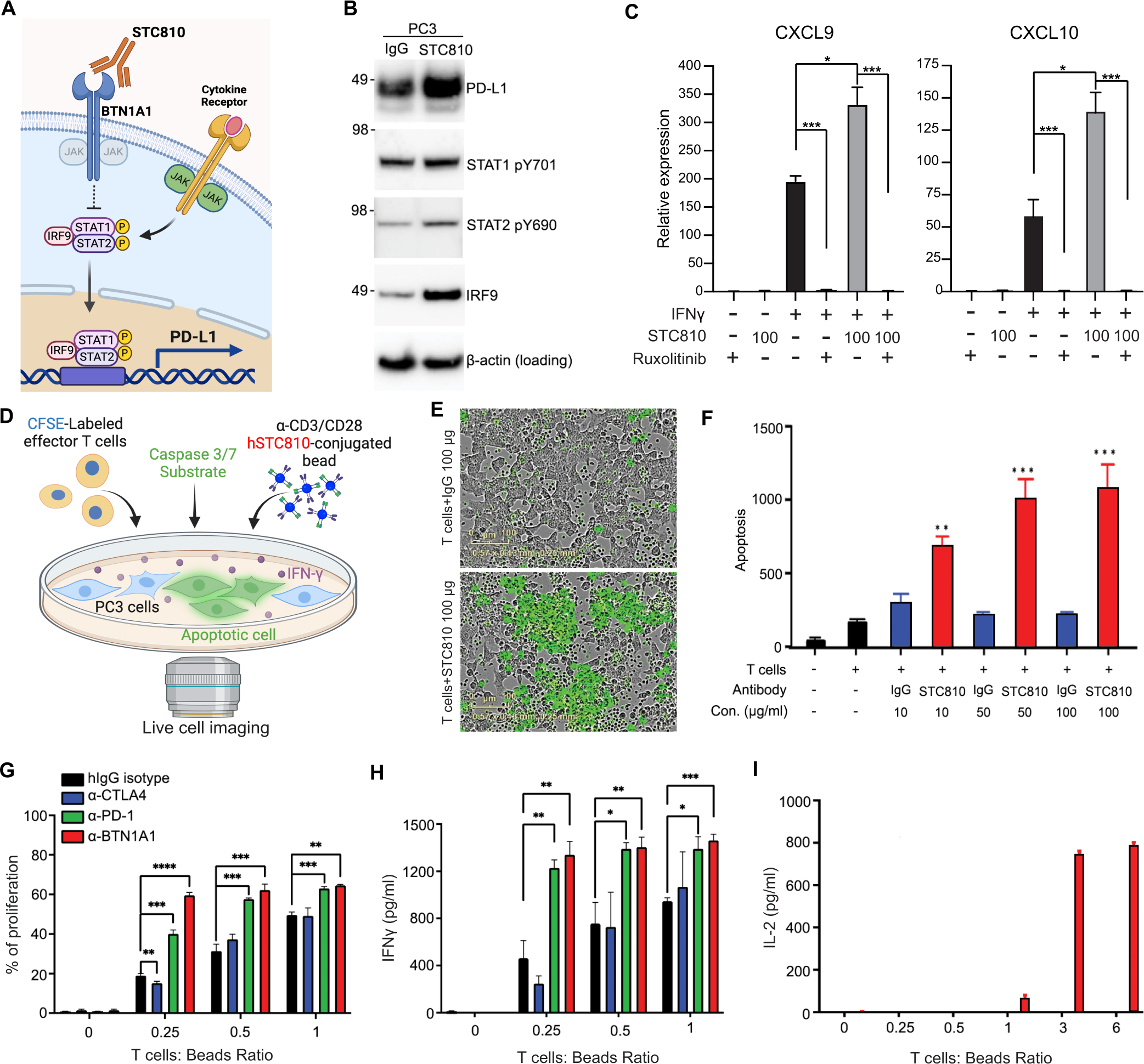Emerging immune regulatory target BTN1A1