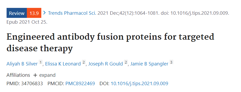 Engineered antibody fusion proteins for targeted disease therapy