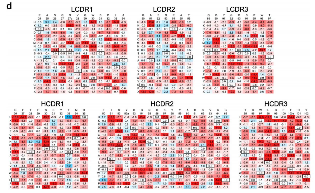 Engineered ipilimumab variants that bind human and mouse CTLA-4