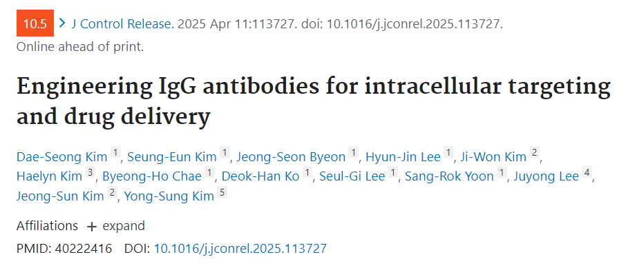 Engineering IgG antibodies for intracellular targeting and drug delivery