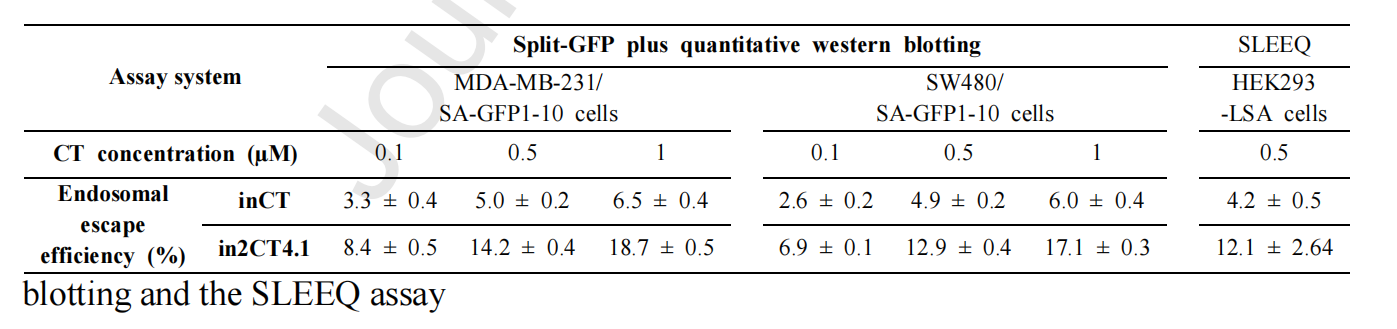 Engineering IgG antibodies for intracellular targeting and drug delivery