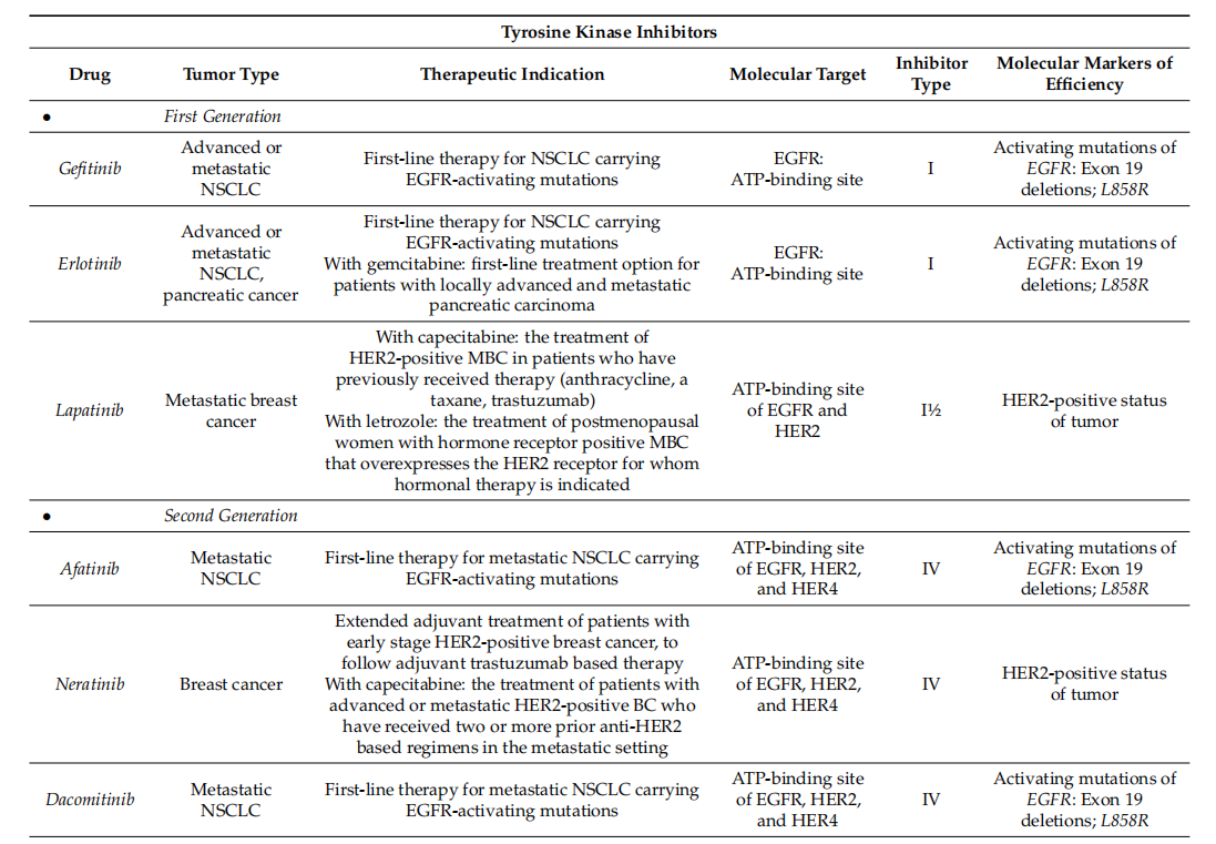 Epidermal growth factor receptor EGFR