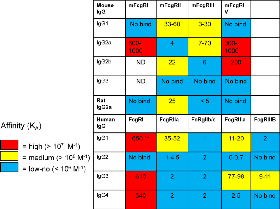 Fc engineering modification for regulating antibody function