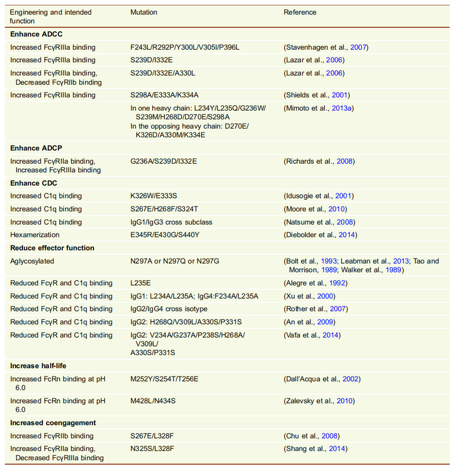 Fc engineering modification for regulating antibody function