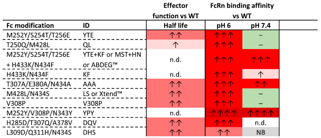 Fc engineering modification for regulating antibody function