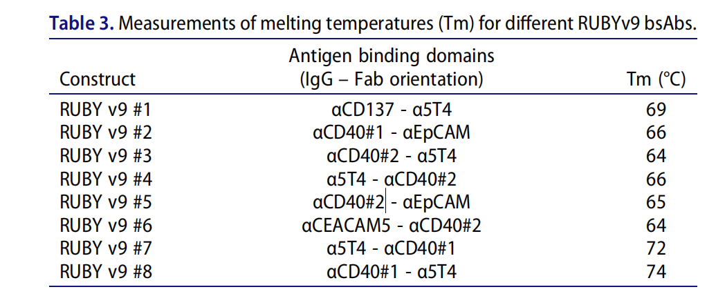 Functional IgG-like stability and pharmacological studies of tetravalent bispecific antibodies