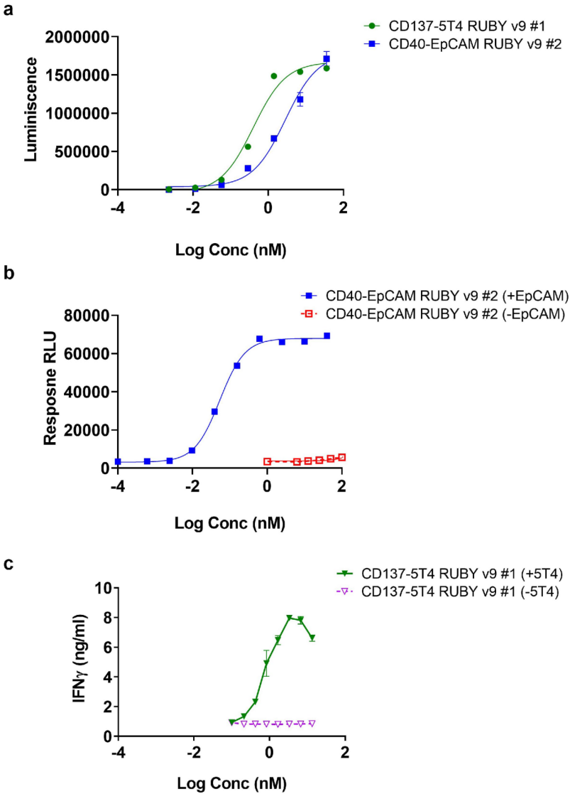 Functional IgG-like stability and pharmacological studies of tetravalent bispecific antibodies