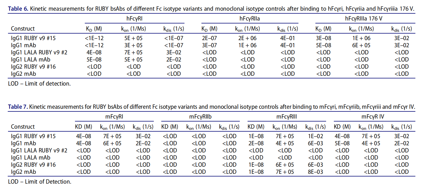 Functional IgG-like stability and pharmacological studies of tetravalent bispecific antibodies