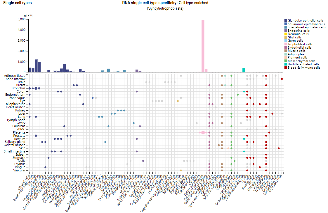 GDF15 is a therapeutic target for obesity