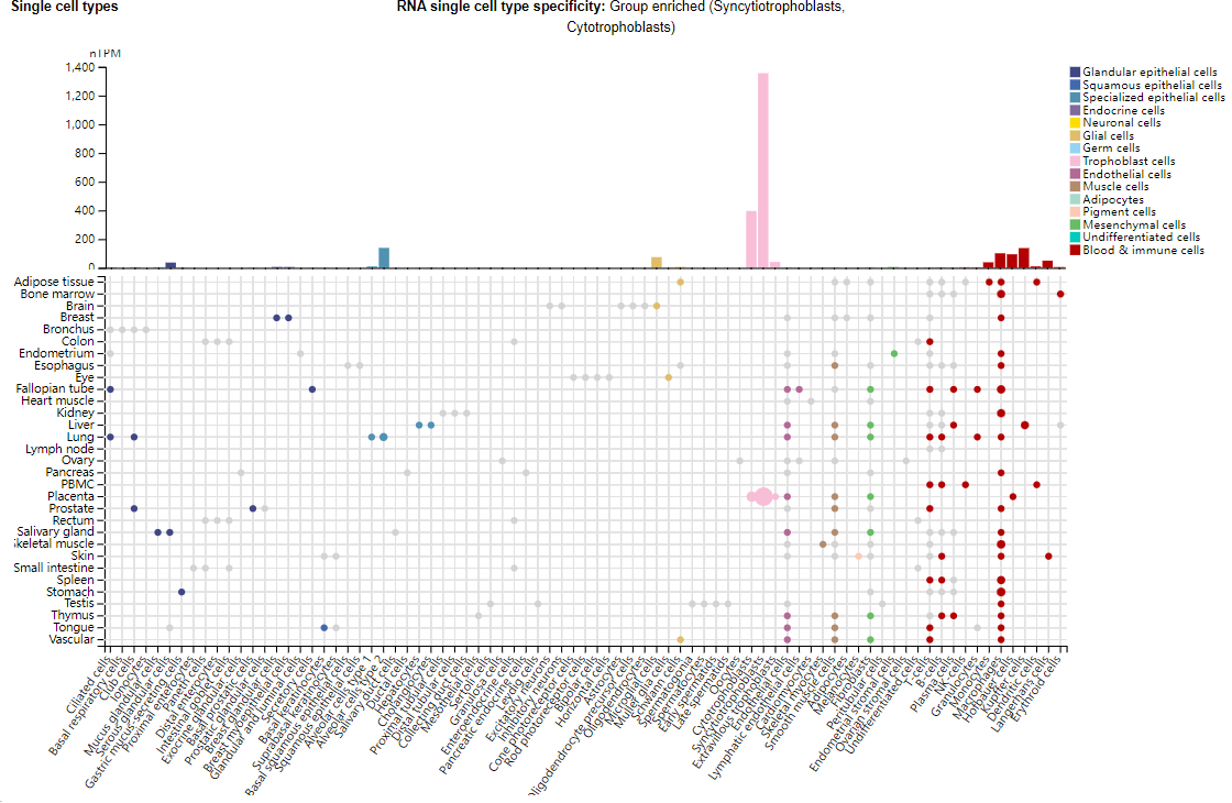 Granulocyte colony stimulating factor receptor CSF3R