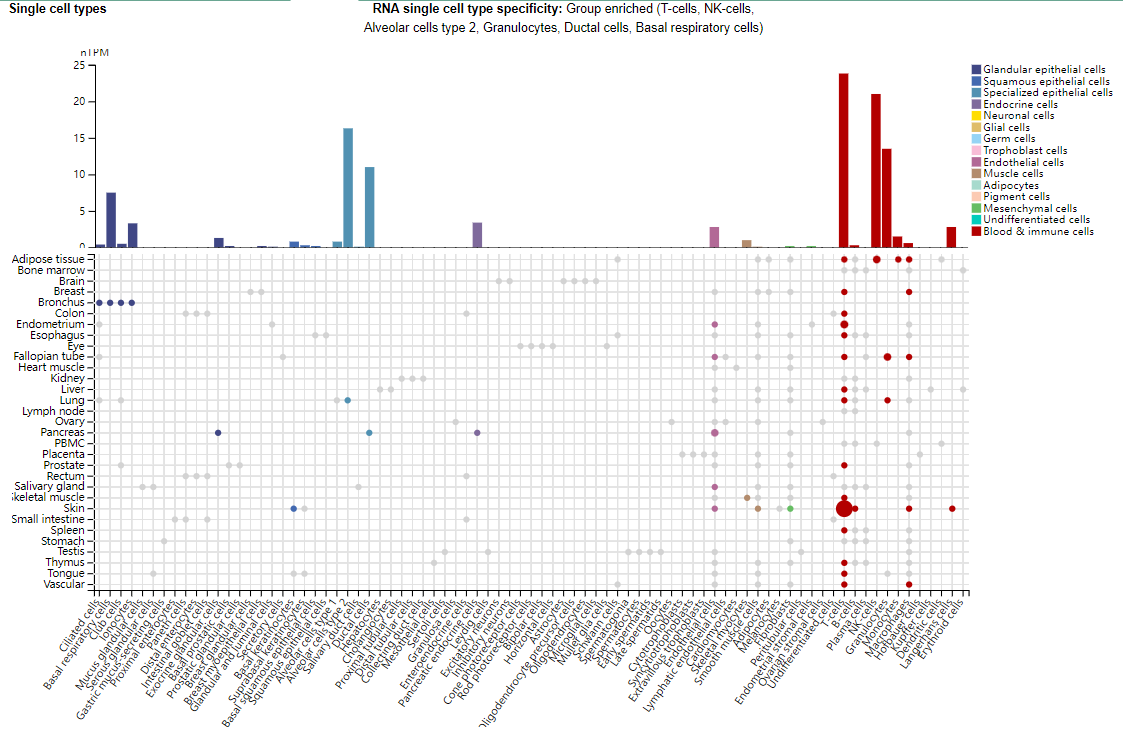 Granulocyte macrophage stimulating factor CSF2