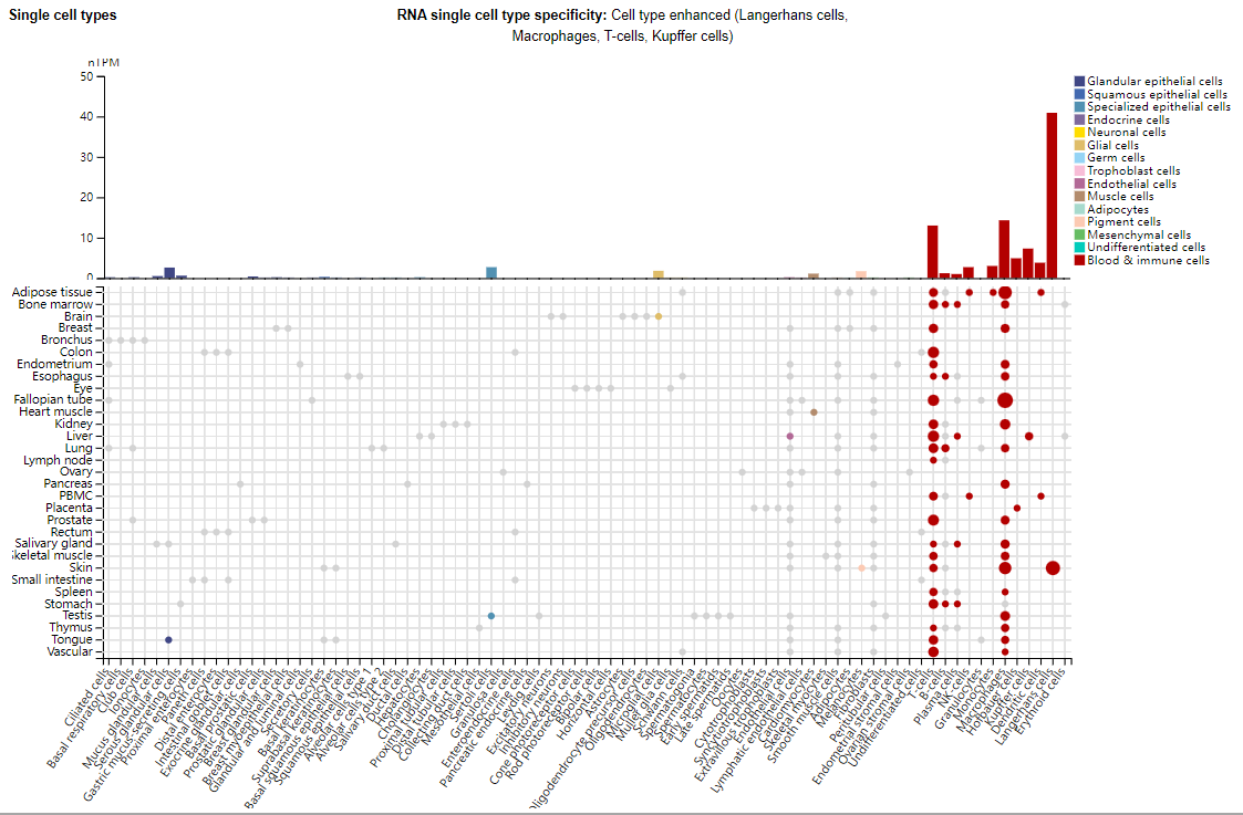 HIV invades the coreceptor CCR5
