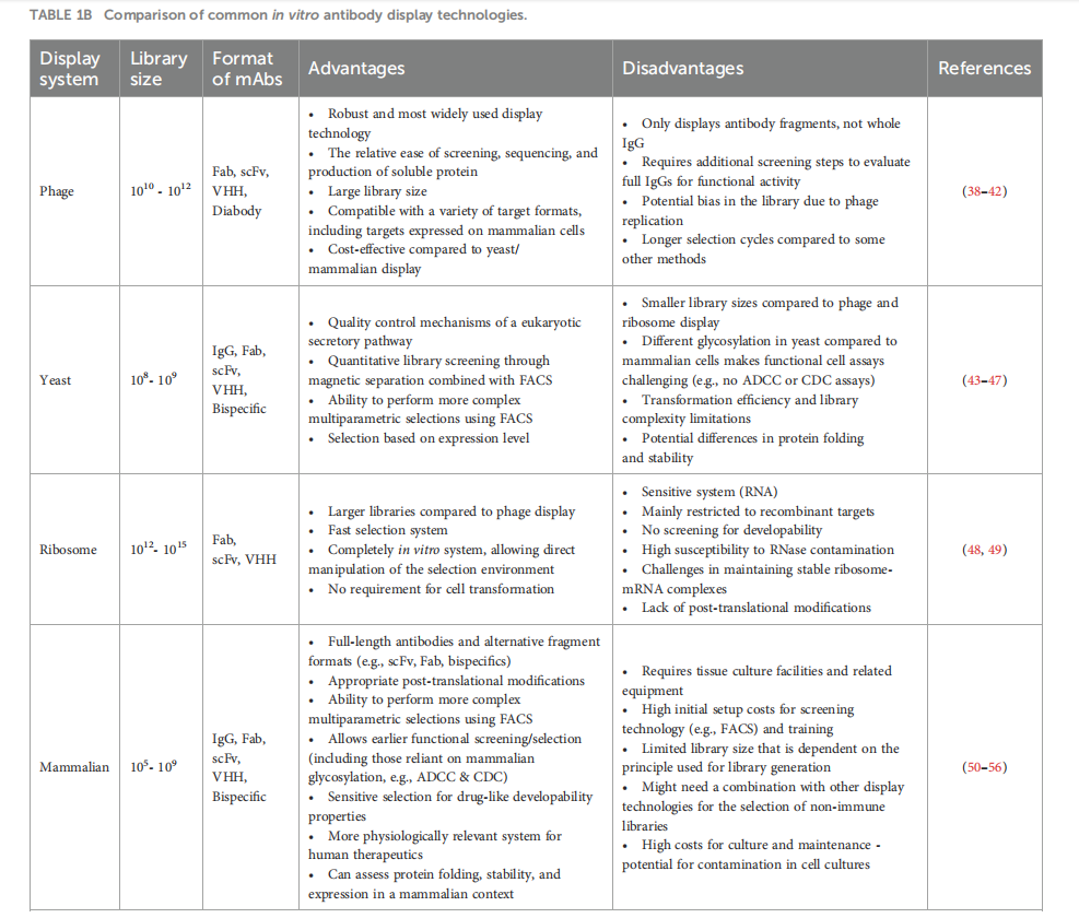 High-throughput strategies for monoclonal antibody screening: advances and challenges