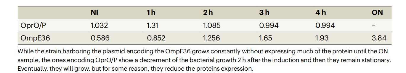 How to isolate channel-forming membrane proteins using the E.coli expression system