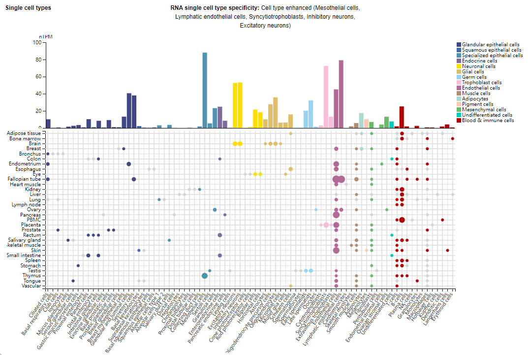 Immune checkpoint protein CD200
