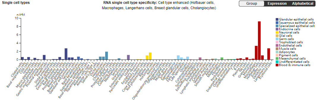 Immune checkpoint suppressor molecule Siglec15