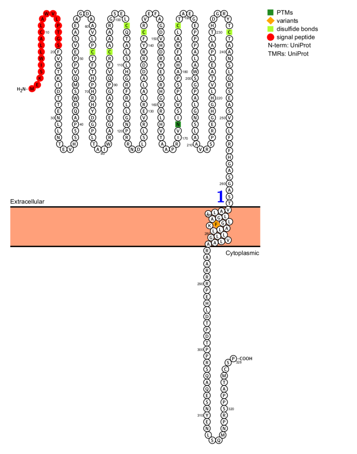 Immune checkpoint suppressor molecule Siglec15