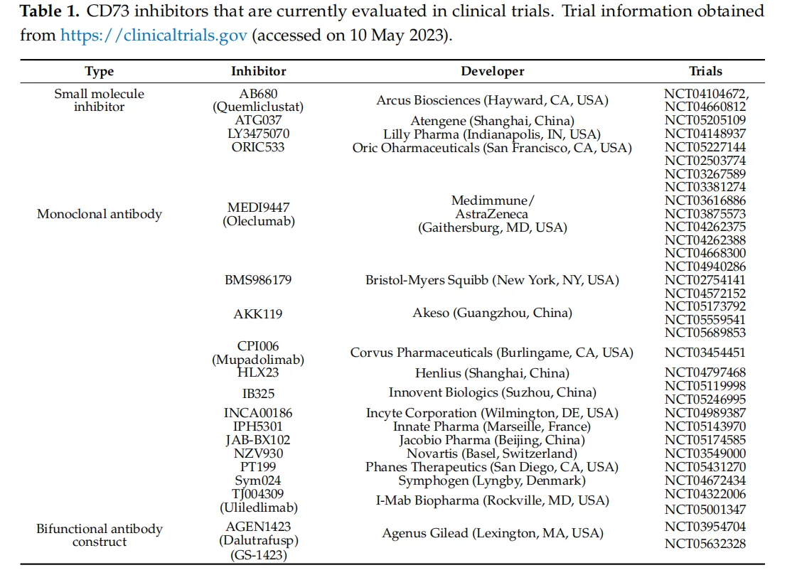 Immunomodulatory adenosine producer CD73
