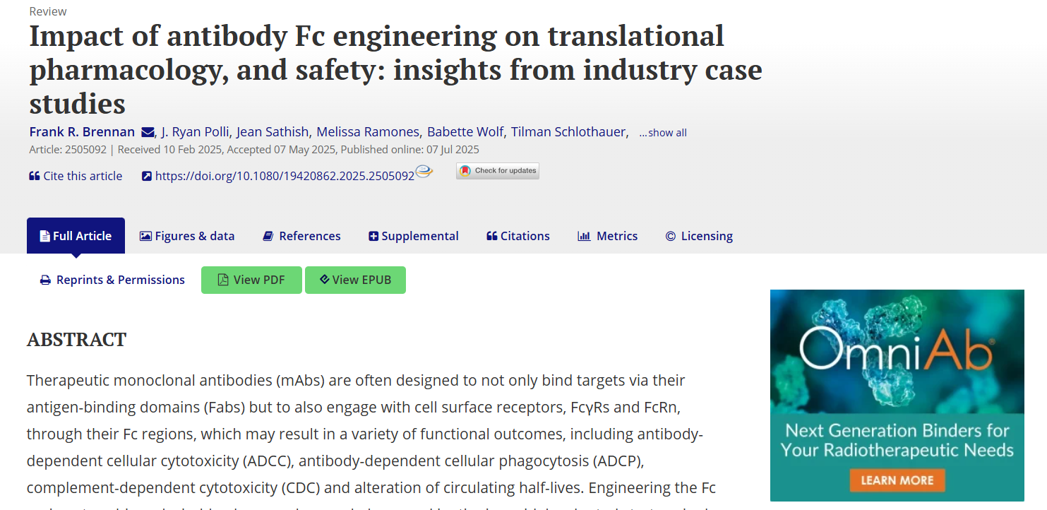 Impact of antibody Fc engineering on translational pharmacology and safety