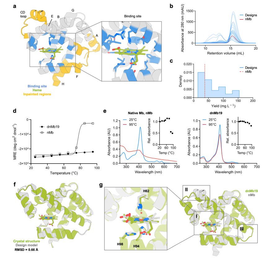 Improving Protein Expression, Stability, and Function with ProteinMPNN