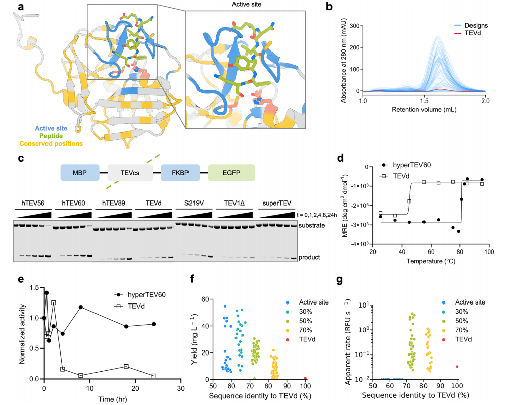 Improving Protein Expression, Stability, and Function with ProteinMPNN